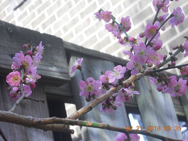 DSCN0050 DSCN0050