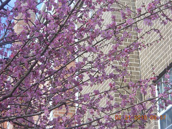 DSCN0057 DSCN0057