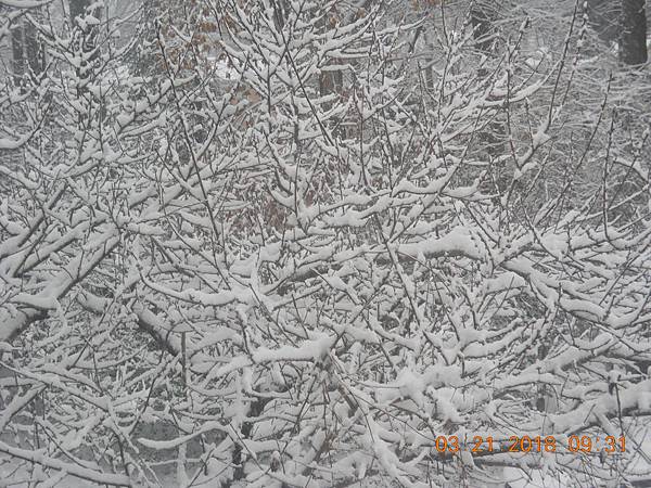 DSCN0012 DSCN0012
