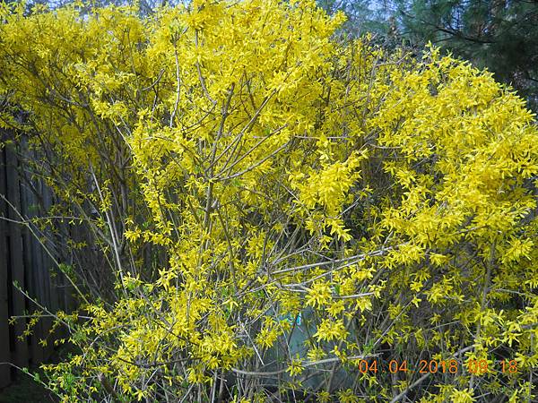 DSCN0025.JPG DSCN0025.JPG