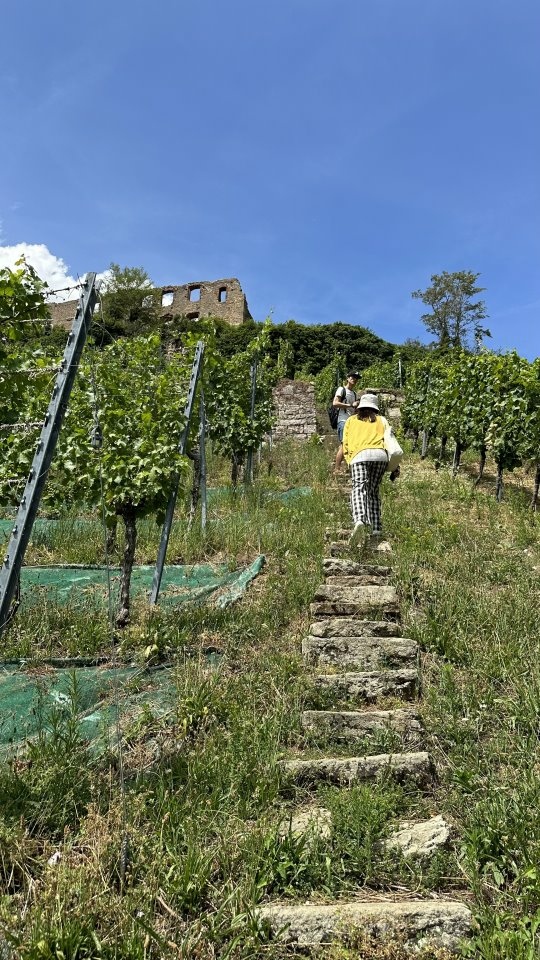 2023夏-瑞捷德之旅day10-德國黑森林自駕-施陶芬看古