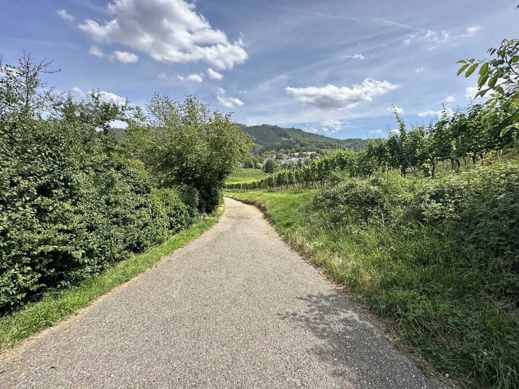 2023夏-瑞捷德之旅day10-德國黑森林自駕-施陶芬看古