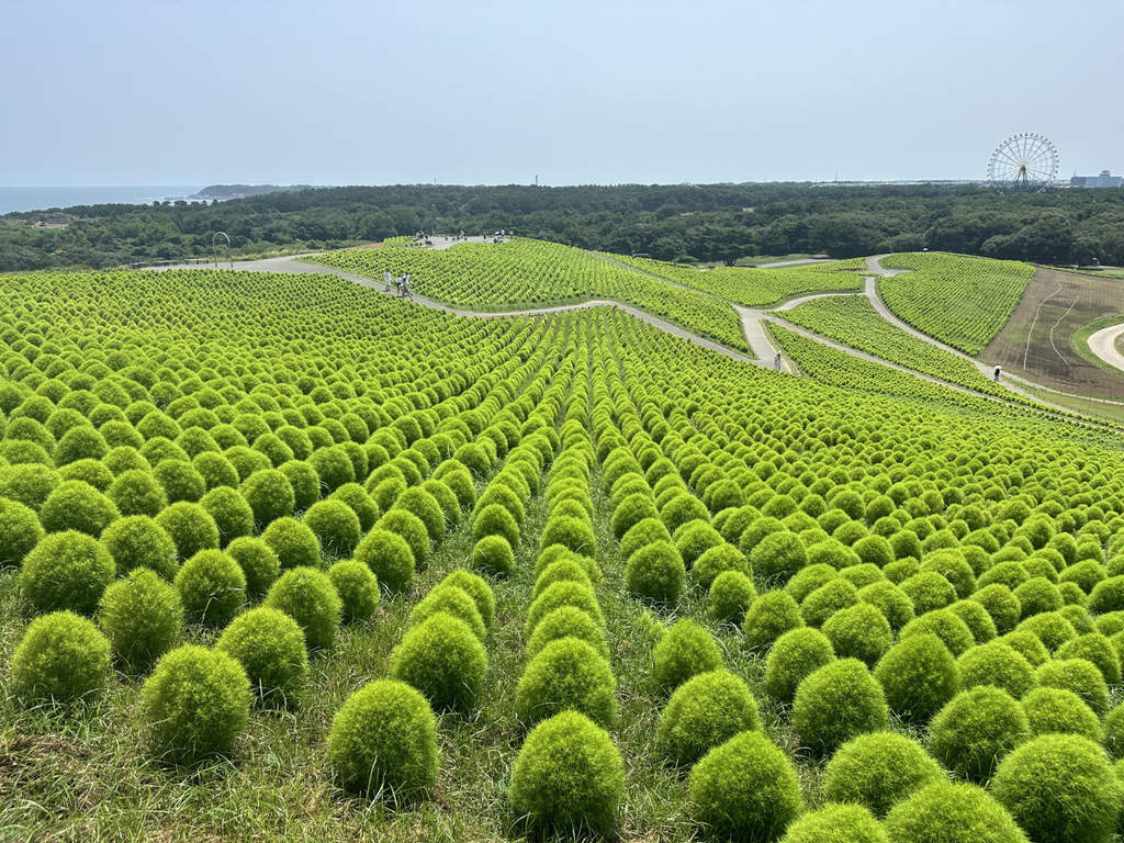 [遊記] 茨城國營常陸海濱公園&三大名園之偕樂園