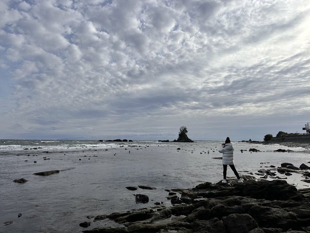 [遊記] 雨晴海岸看立山連峰&富山市區遊