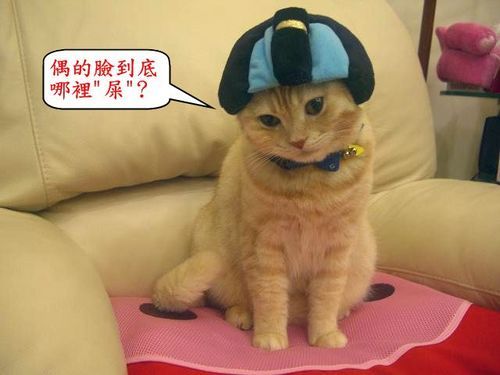 屎臉相撲選手 老虎饅頭俱樂部 寶貝小咪 痞客邦 屎臉相撲選手 老虎饅頭俱樂部 寶貝小咪 痞客邦