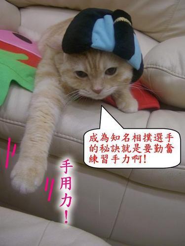 屎臉相撲選手 老虎饅頭俱樂部 寶貝小咪 痞客邦 屎臉相撲選手 老虎饅頭俱樂部 寶貝小咪 痞客邦