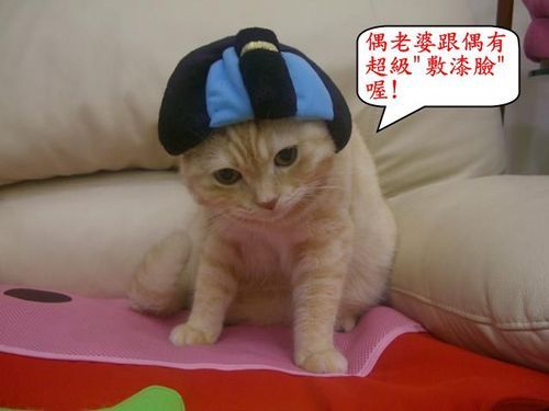 屎臉相撲選手 老虎饅頭俱樂部 寶貝小咪 痞客邦 屎臉相撲選手 老虎饅頭俱樂部 寶貝小咪 痞客邦