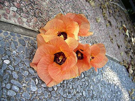P1010294.JPG P1010294.JPG