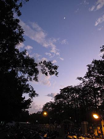 IMG_8131.jpg IMG_8131.jpg