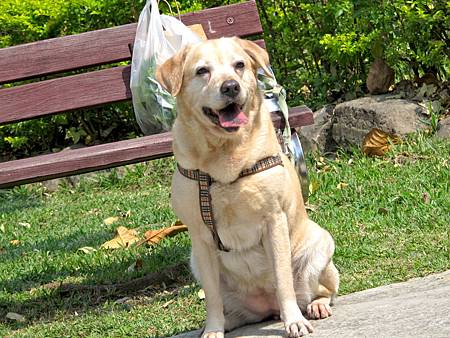 IMG_3303 IMG_3303