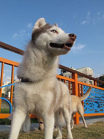 IMG_9261 IMG_9261
