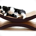 product-guide-11-modern-pet-beds-for-the-home-4