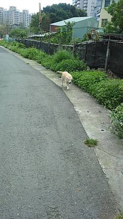 DSC_0028_3 DSC_0028_3