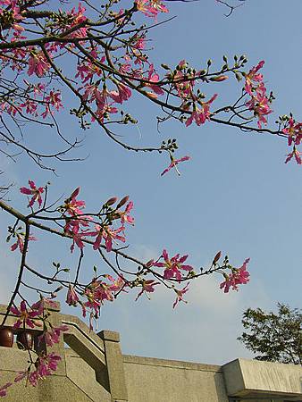 P1020515.JPG P1020515.JPG