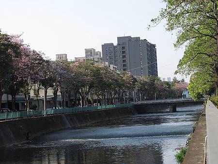 綠川紅鈴