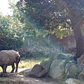 20151024天王寺動物園_4301.jpg