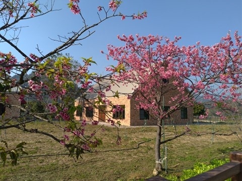 148028614_744326496214507_3537971293254468563_n.jpg 148028614_744326496214507_3537971293254468563_n.jpg