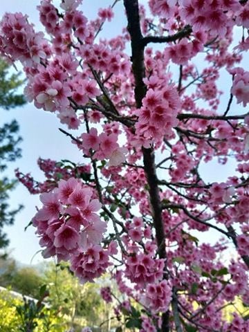 148084658_134034801829539_8057990166096088184_n.jpg 148084658_134034801829539_8057990166096088184_n.jpg