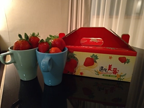 148073903_238134467897612_7246543143162343340_n.jpg 148073903_238134467897612_7246543143162343340_n.jpg