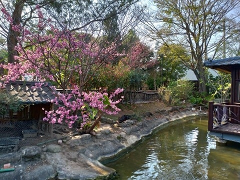 148352211_904099510397715_375554812582418147_n.jpg 148352211_904099510397715_375554812582418147_n.jpg