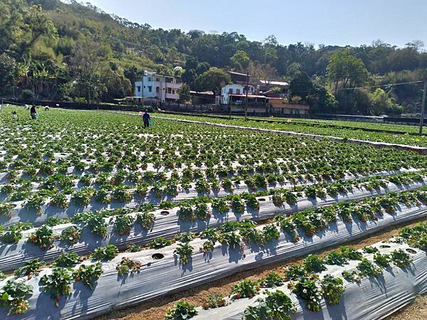 148235862_3679268398815432_2985133802046365702_n.jpg 148235862_3679268398815432_2985133802046365702_n.jpg