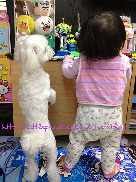 IMG_3515 IMG_3515