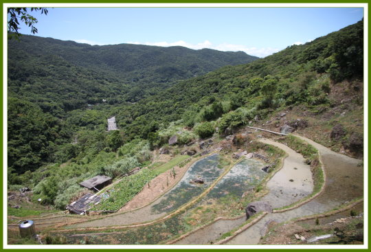 101.07.29 坪頂古圳步道 16