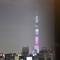 SKY TREE