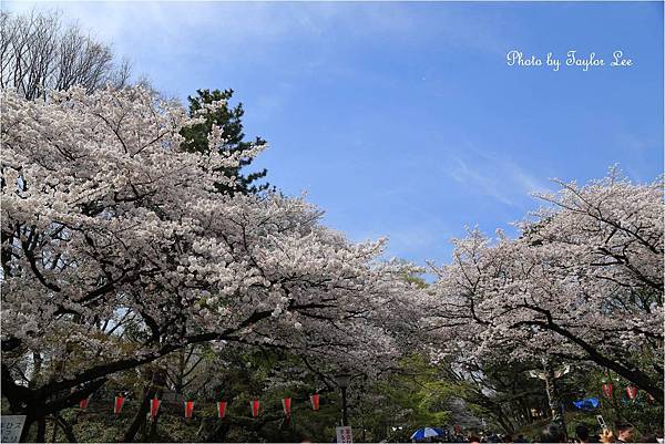 上野恩賜公園3