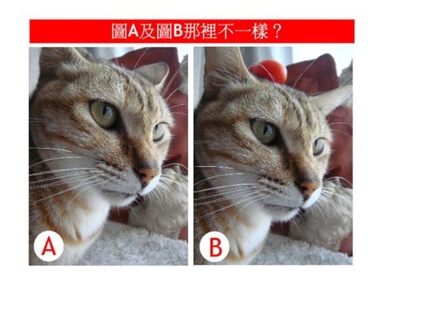 猜唷1.jpg