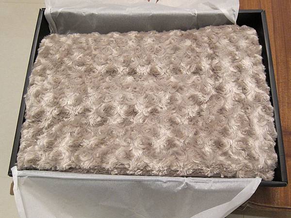 IMG_4085.JPG IMG_4085.JPG