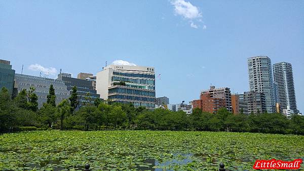 20160522_111538.jpg 20160522_111538.jpg