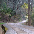 太武山上登山步道也是戰車通行的戰備道