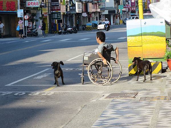 輪椅．黑狗