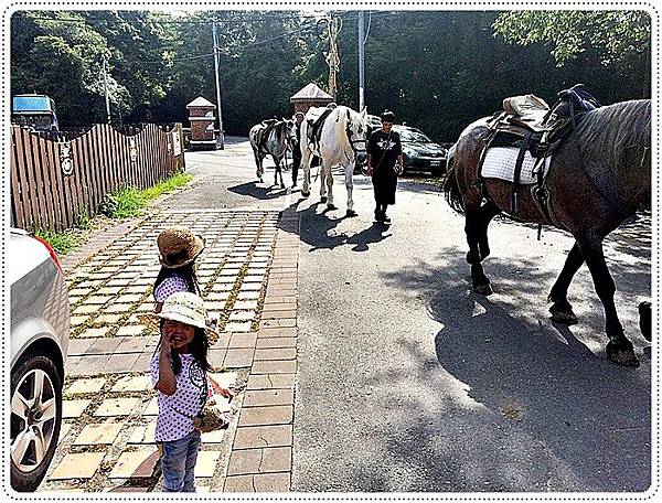 20150614_IMG_1085.JPG 20150614_IMG_1085.JPG