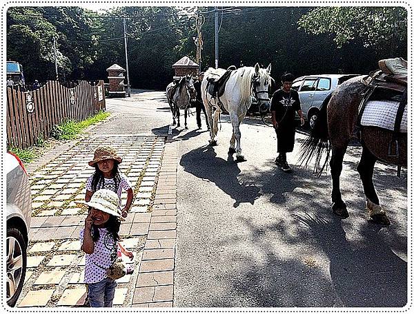 20150614_IMG_1086.JPG 20150614_IMG_1086.JPG