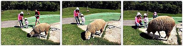 20150614_IMG_1119.JPG 20150614_IMG_1119.JPG