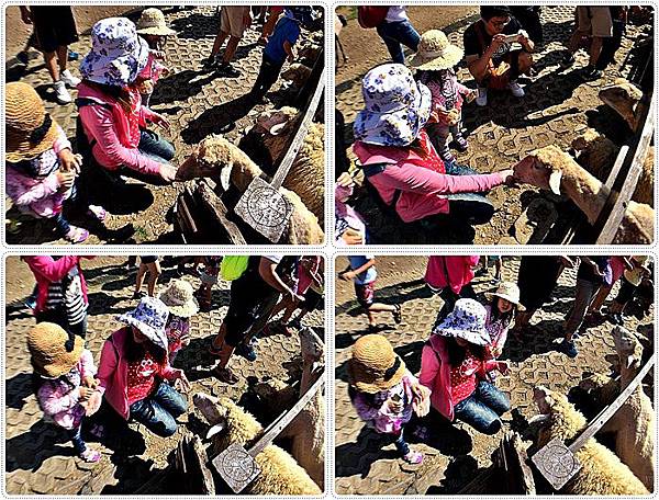 20150614_IMG_1143.JPG 20150614_IMG_1143.JPG