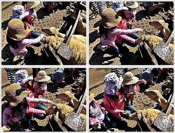 20150614_IMG_1177.JPG 20150614_IMG_1177.JPG