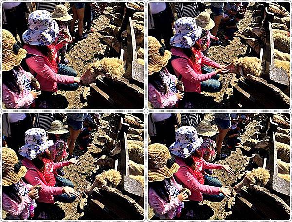 20150614_IMG_1195.JPG 20150614_IMG_1195.JPG