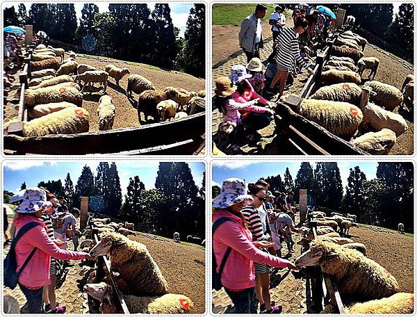 20150614_IMG_1201.JPG 20150614_IMG_1201.JPG