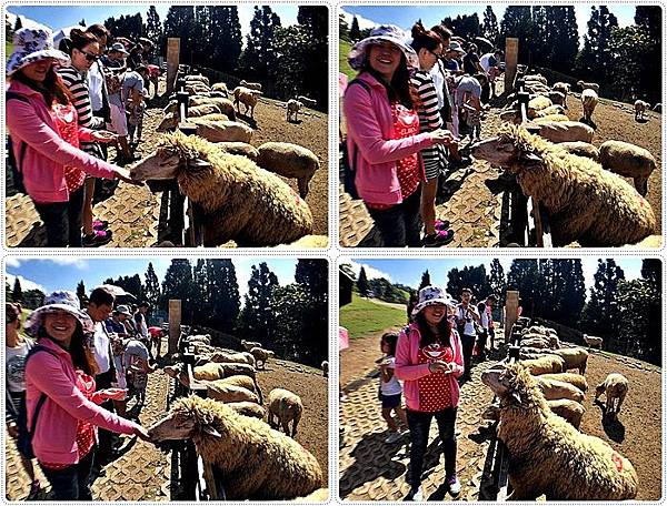 20150614_IMG_1214.JPG 20150614_IMG_1214.JPG