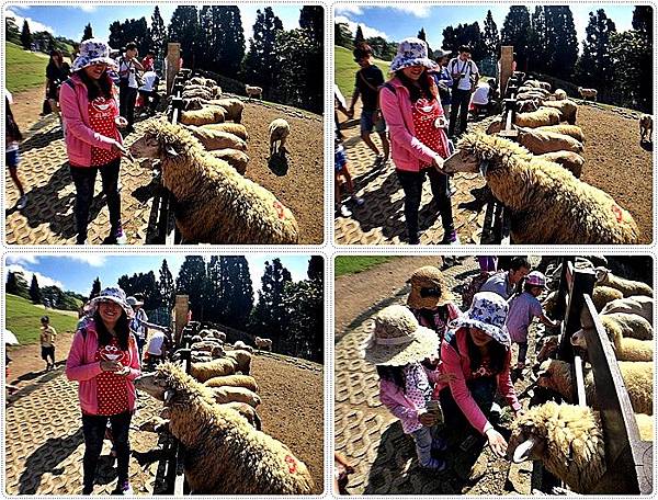 20150614_IMG_1224.JPG 20150614_IMG_1224.JPG