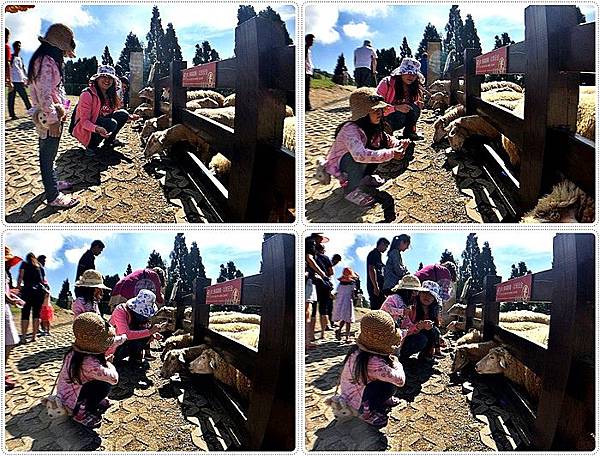 20150614_IMG_1241.JPG 20150614_IMG_1241.JPG