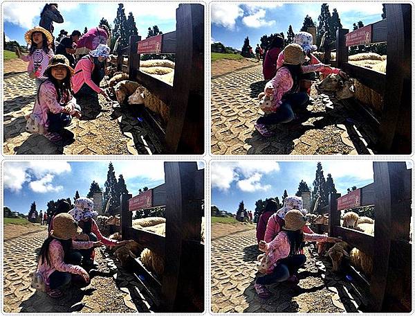 20150614_IMG_1254.JPG 20150614_IMG_1254.JPG