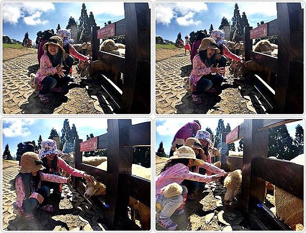 20150614_IMG_1268.JPG 20150614_IMG_1268.JPG