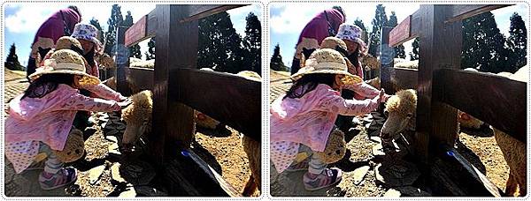 20150614_IMG_1275.JPG 20150614_IMG_1275.JPG