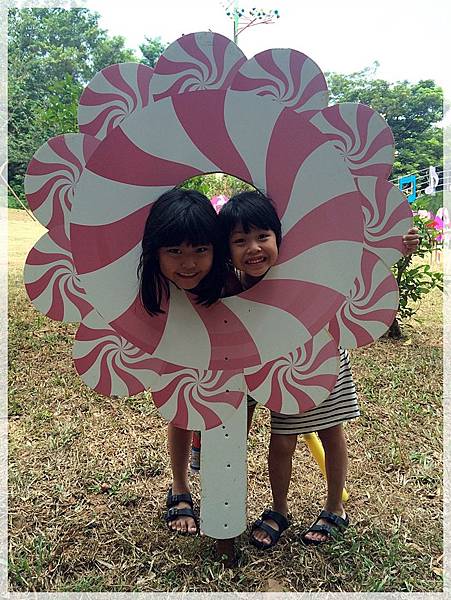 20170728_IMG_4859.JPG 20170728_IMG_4859.JPG