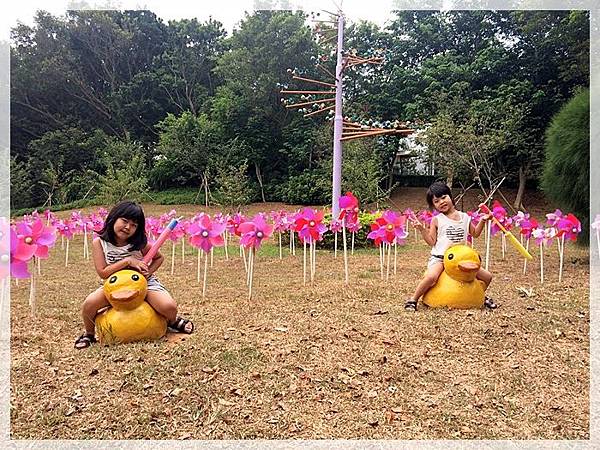 20170728_IMG_4863.JPG 20170728_IMG_4863.JPG