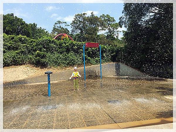 20170728_IMG_4873.JPG 20170728_IMG_4873.JPG